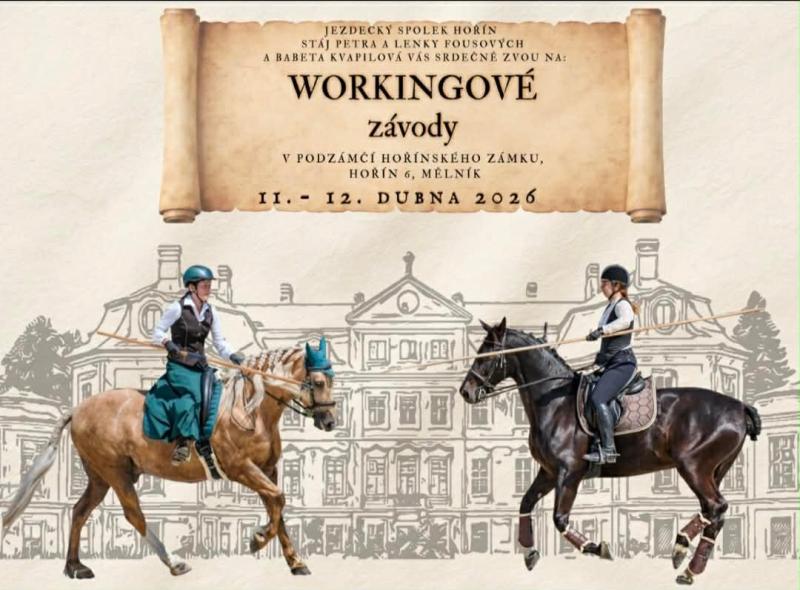 Workingové závody